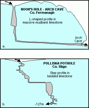 Polliska